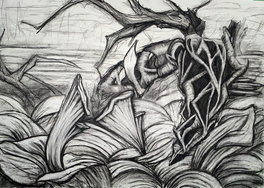 Charcoal drawing of twisting roots and leaves